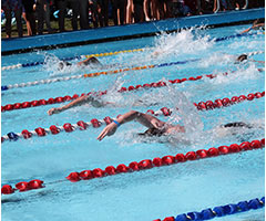 swimming carnival 2015